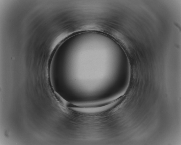 X0000097661328200803071523