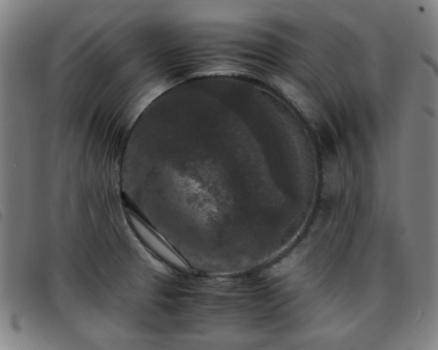 X0000097661329200803071523