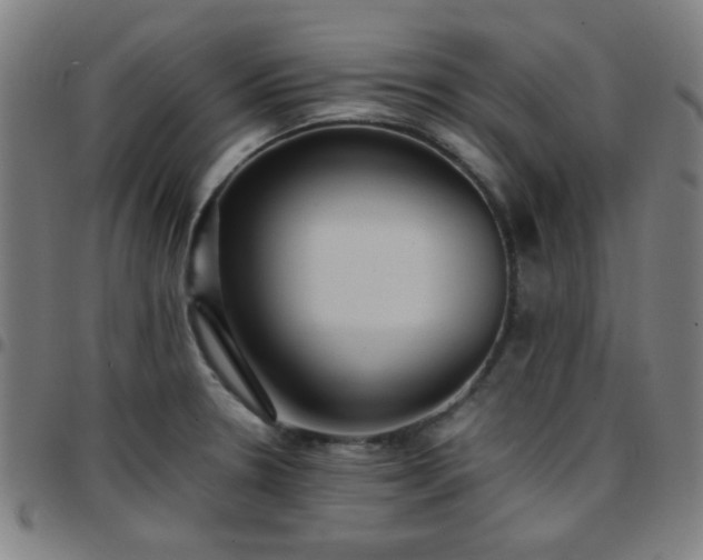 X0000097661330200803071523
