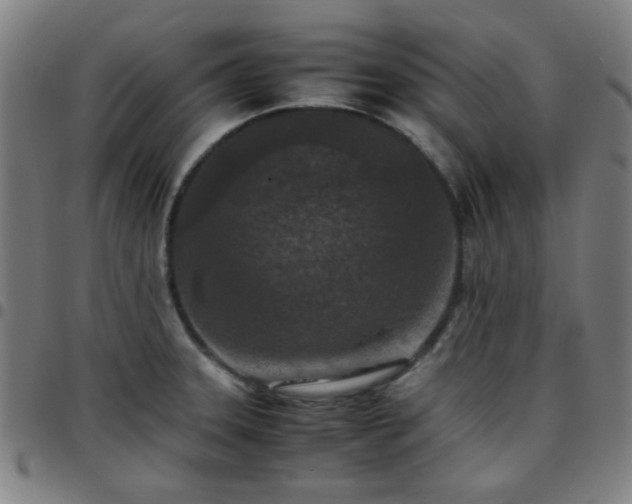 X0000097661331200803071523