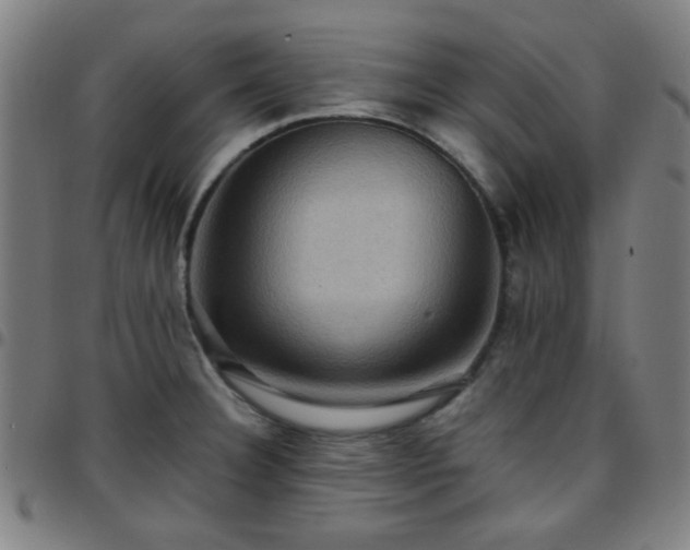 X0000097661332200803071523