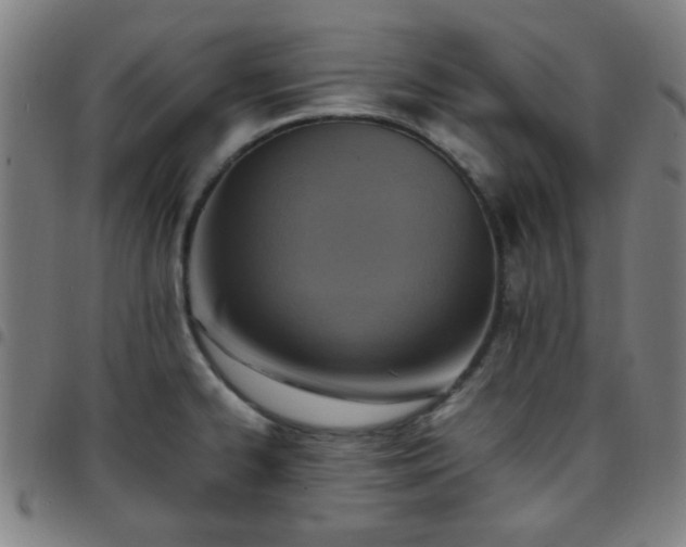 X0000097661334200803071523