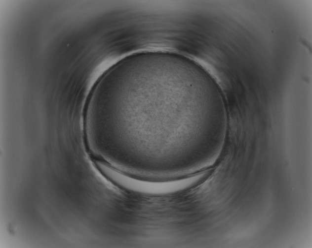 X0000097661335200803071523