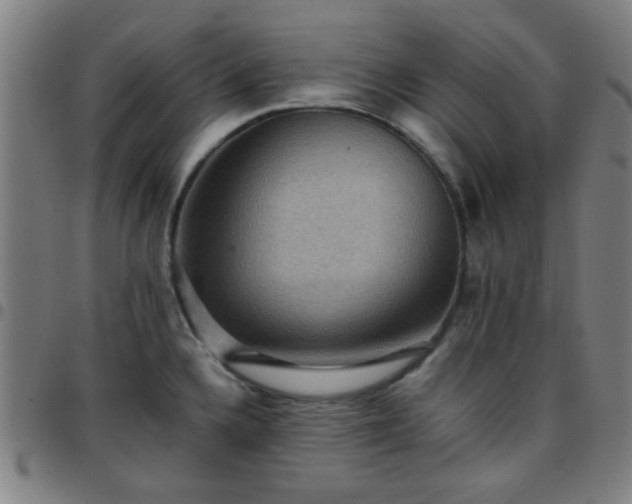 X0000097661336200803071523