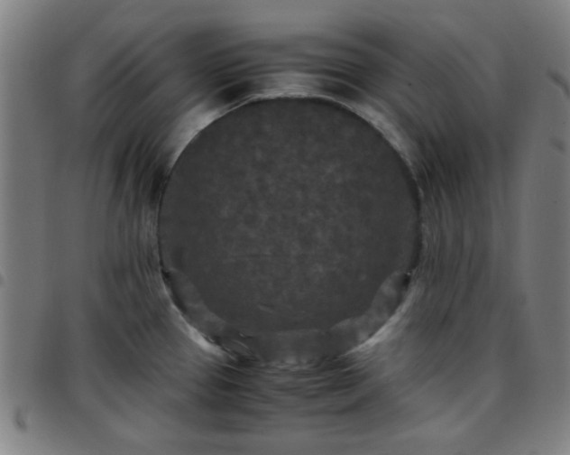 X0000097661337200803071523