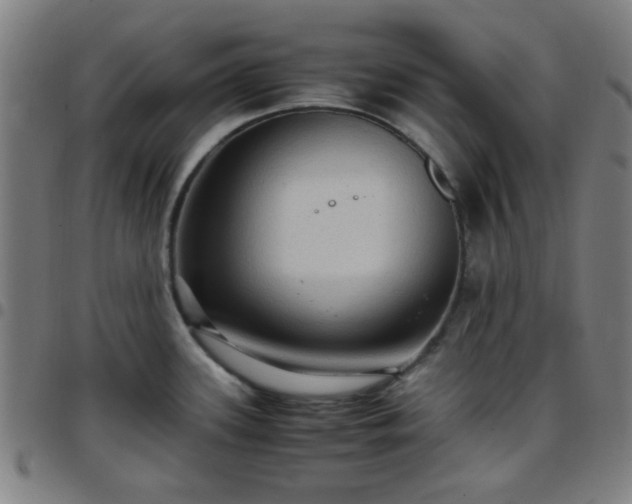 X0000097661339200803071523
