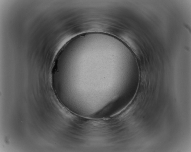 X0000097661340200803071523