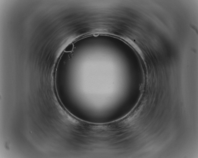 X0000097661341200803071523