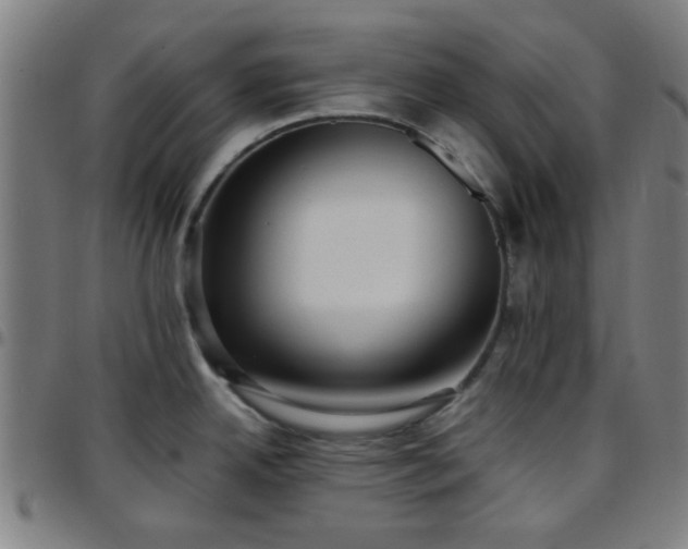 X0000097661342200803071523