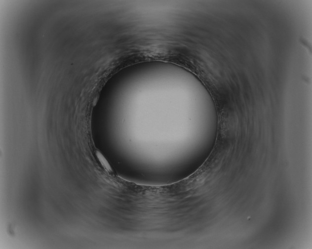 X0000097661345200803071523