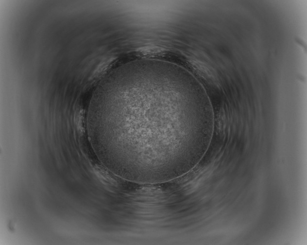 X0000097661346200803071523