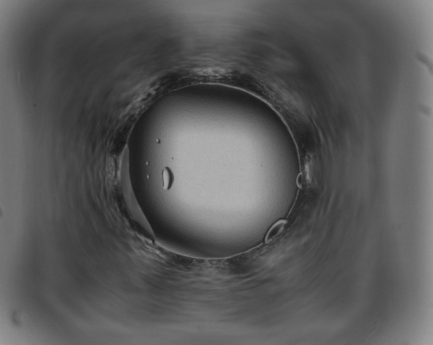 X0000097661347200803071523