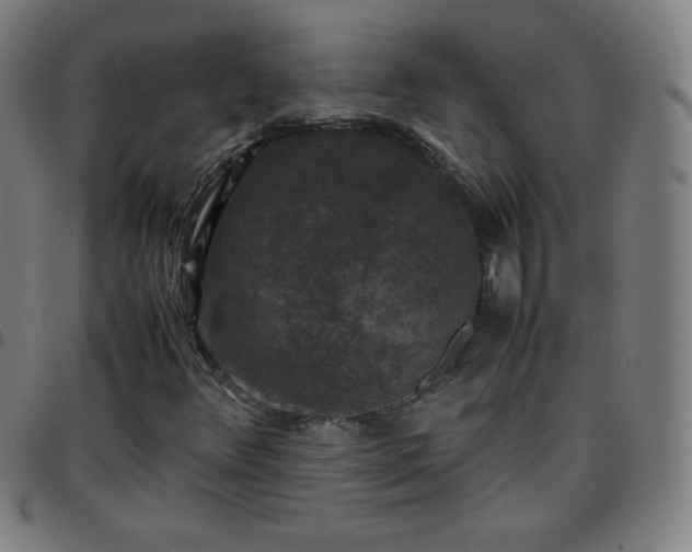X0000097661348200803071523