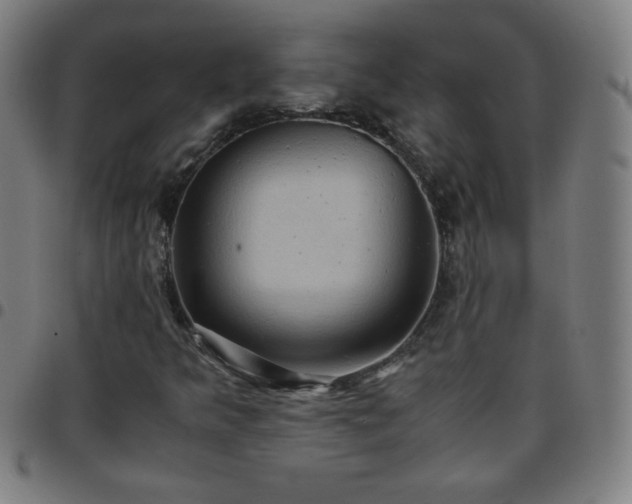 X0000097661349200803071523