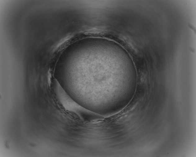 X0000097661350200803071523