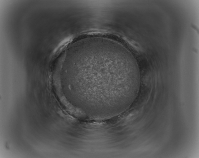 X0000097661351200803071523