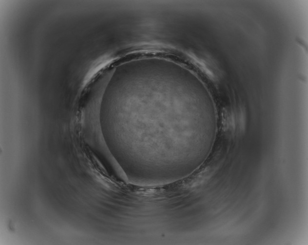 X0000097661352200803071523