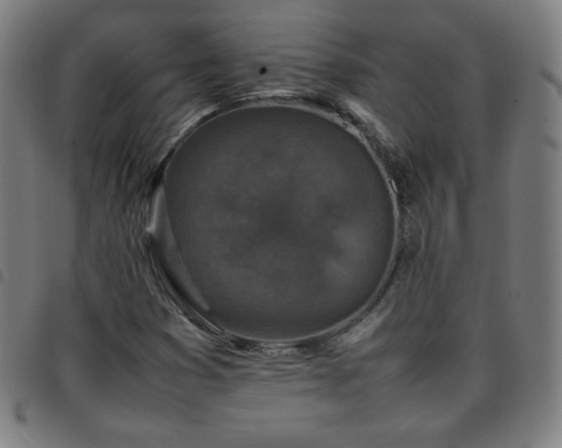 X0000097661353200803071523
