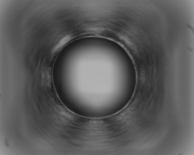 X0000097661354200803071523