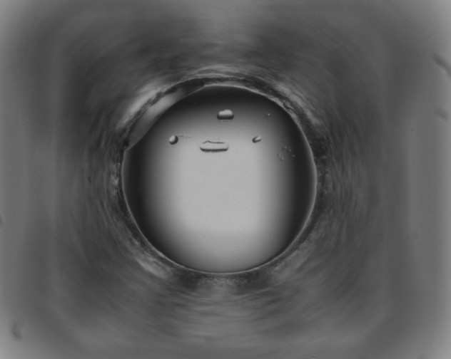 X0000097661355200803071523