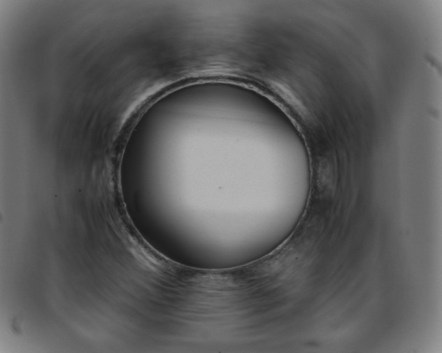 X0000097661356200803071523
