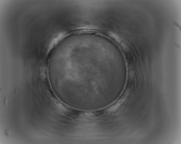 X0000097661357200803071523