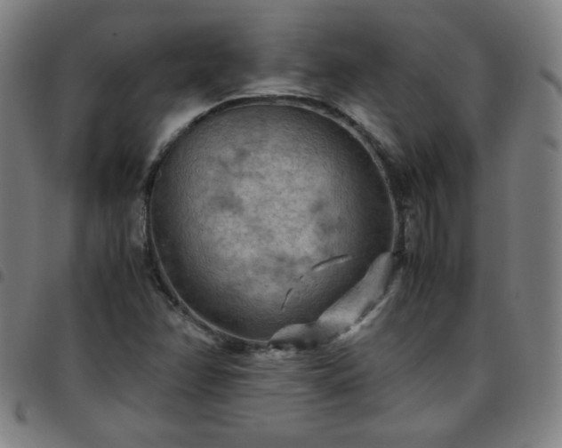 X0000097661358200803071523