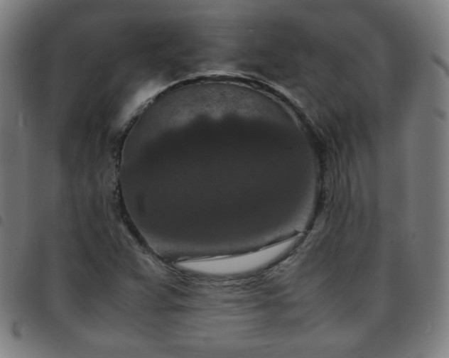 X0000097661359200803071522
