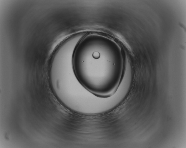 X0000097661360200803071522