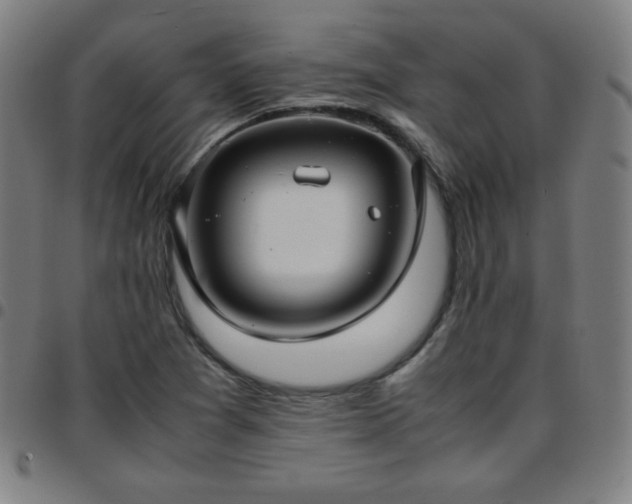 X0000097661361200803071522