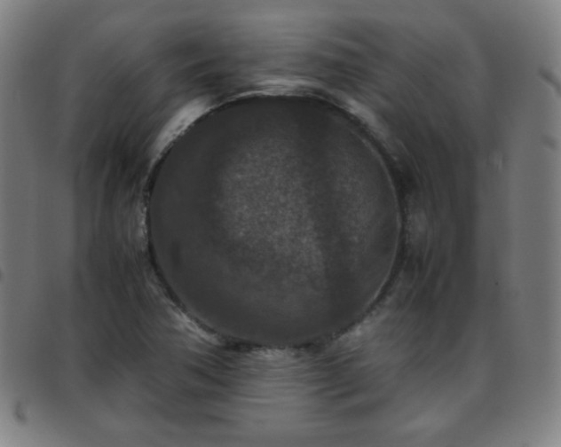 X0000097661362200803071522