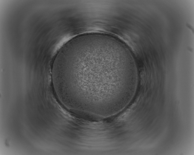 X0000097661363200803071522