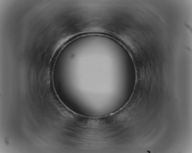 X0000097661364200803071522