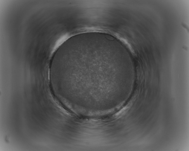 X0000097661365200803071522