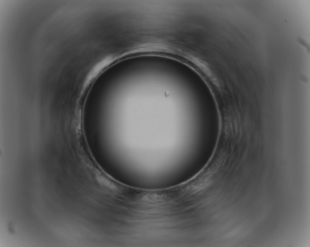 X0000097661366200803071522