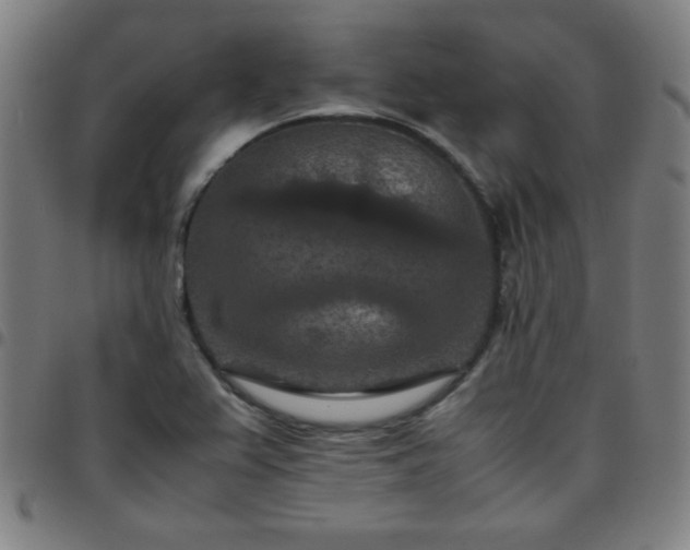 X0000097661367200803071522
