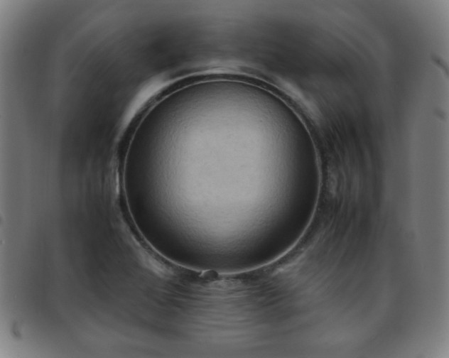 X0000097661368200803071522