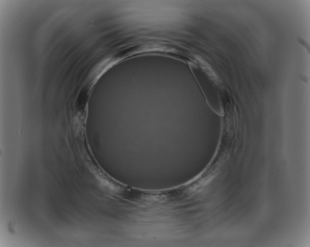 X0000097661369200803071522