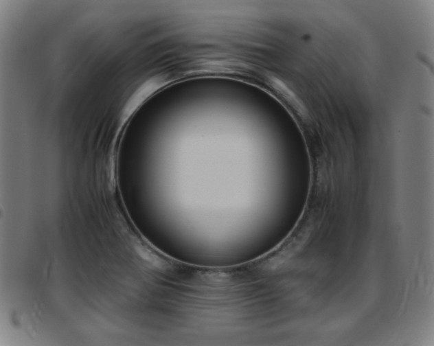 X0000097661370200803071522