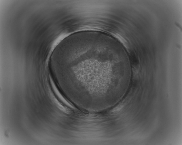 X0000097661371200803071522