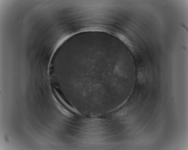 X0000097661372200803071522