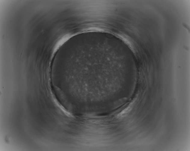 X0000097661373200803071522