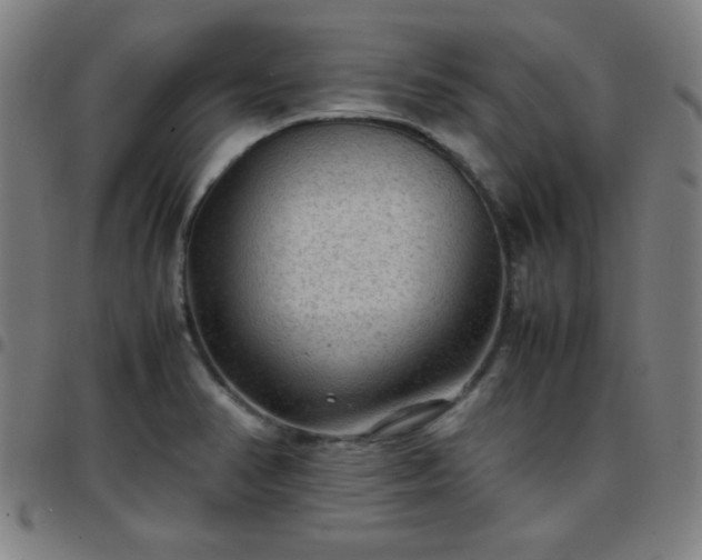 X0000097661374200803071522