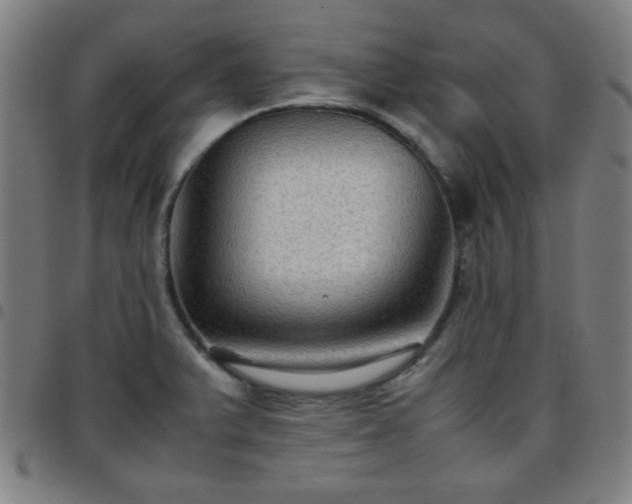 X0000097661375200803071522