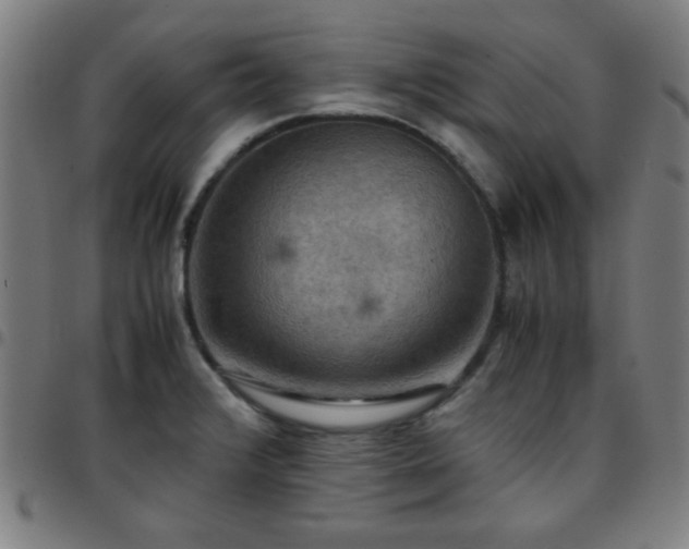 X0000097661376200803071522