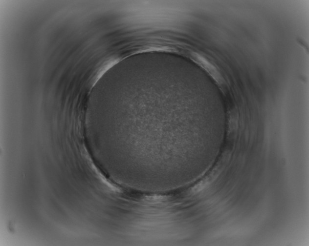 X0000097661377200803071522