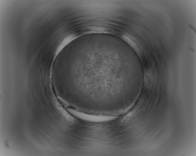 X0000097661378200803071522