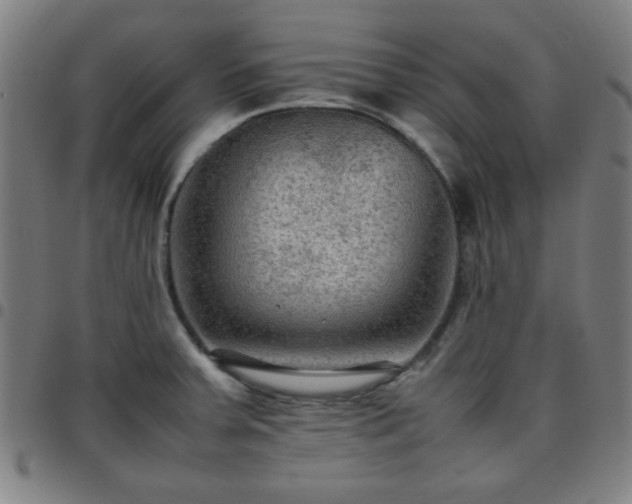 X0000097661379200803071522