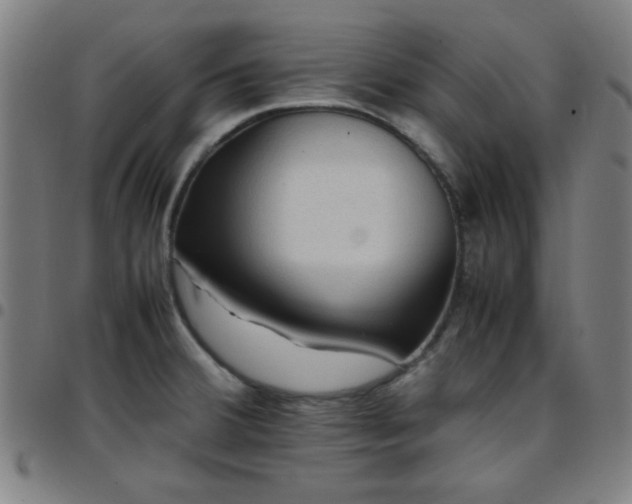 X0000097661380200803071522