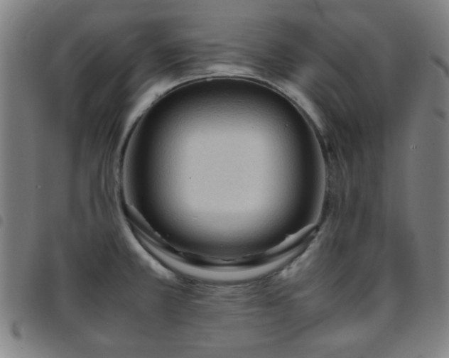 X0000097661381200803071522